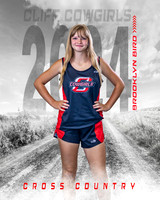 White Out Cross Country Individual Template
